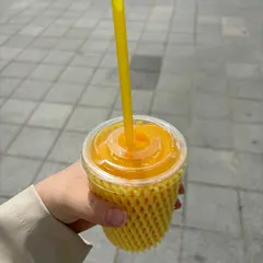 고망고 GOMANGO