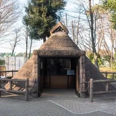 下高井戸塚山遺跡