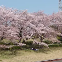 秋留台公園