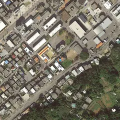 平良鮮魚店