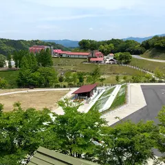 Snow Peak ABURAYAMA FUKUOKA Campfield フリーサイト