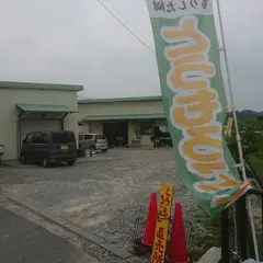 もりした園 とうもろこし