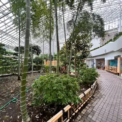苫小牧市サンガーデン
