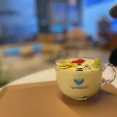 YO YOGURT（Fruit yogurt shop）