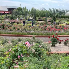 いわみざわ公園
