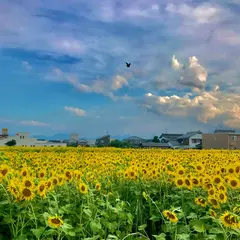 東伯郵便局
