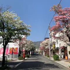 朝日通り商店街