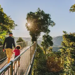 Mamu Tropical Skywalk