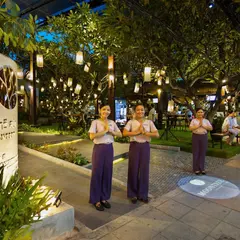Moontree Elemental Spa