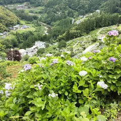 新宮あじさいの里 記念碑展望所