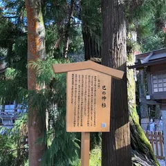 大神神社