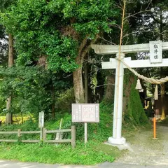 塩井社