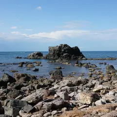 山中海岸