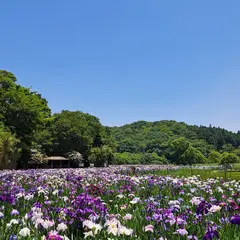 神楽女湖しょうぶ園