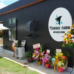 トリコファーム - 宮古島のマンゴー&芋 カフェスタンド