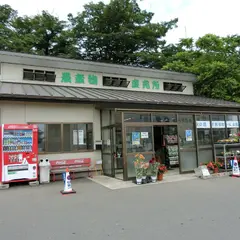 農産物直売所 めぐみの里さしま