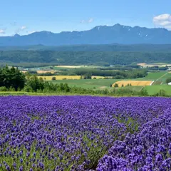 北海道 富良野 麓郷展望台