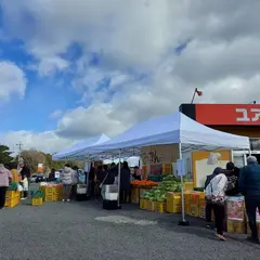 いもゴリラ朝市
