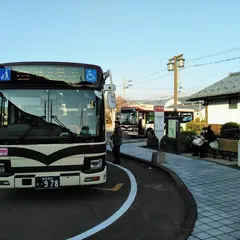 丸岡城