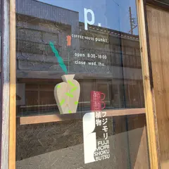 フジモリ植物