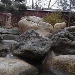 風林の宿