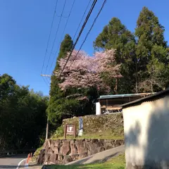熊野川体感塾