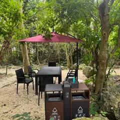cafe the palm