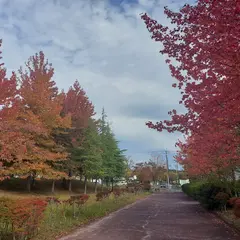 泉パークタウン