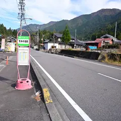 モネの池前
