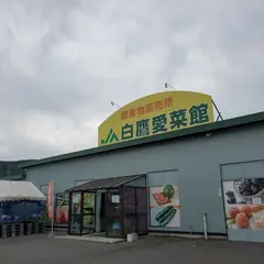 愛菜館
