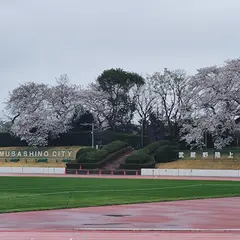 武蔵野総合体育館