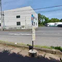 インターナショナルリゾートホテル湯楽城