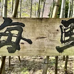 海馬
