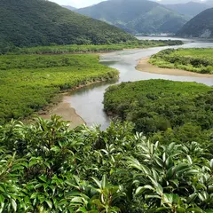 道の駅 奄美大島住用
