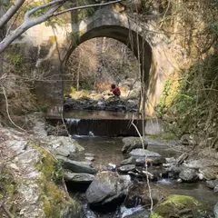 あてらの森キャンプ 場 (浜松市天竜区)