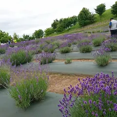 玉虫沼農村公園かおりの広場