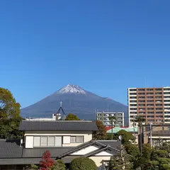 MR. TOMO FUJI