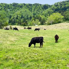 山田牧場