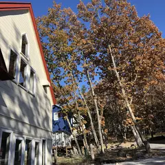 白樺湖ペンションロック