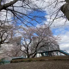 さいたま市立下落合小学校