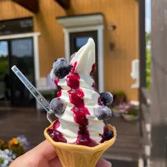 ぶるーべりーガーデンカフェ
