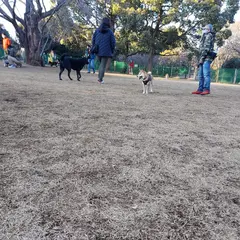 柏の葉公園 ドッグラン