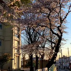 千葉市立蘇我中学校