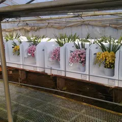 森緑園圃場
