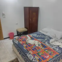 ビーナス ホステル