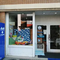 チワワ専門店スキップドッグ！