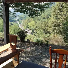 かしの樹
