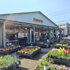 JA静岡市 南部じまん市