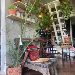 Mơ Đi Hội
