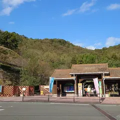 ビーチの森すみえ